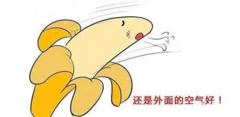 上海割包皮要多少钱